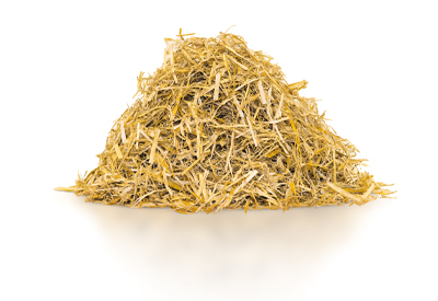 Maximiser la rentabilité