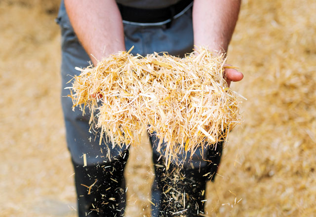 Maximiser la rentabilité