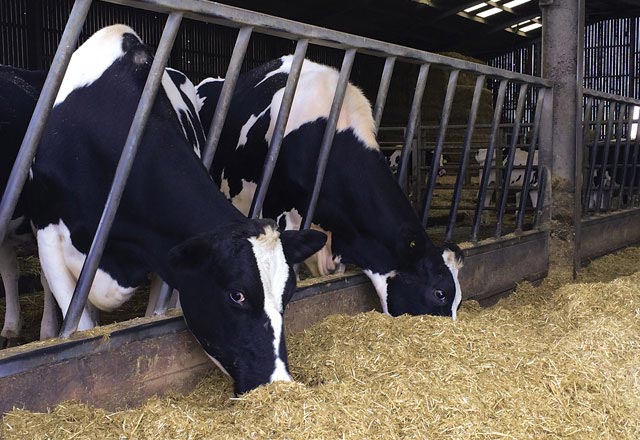 Maintien du taux de matière grasse