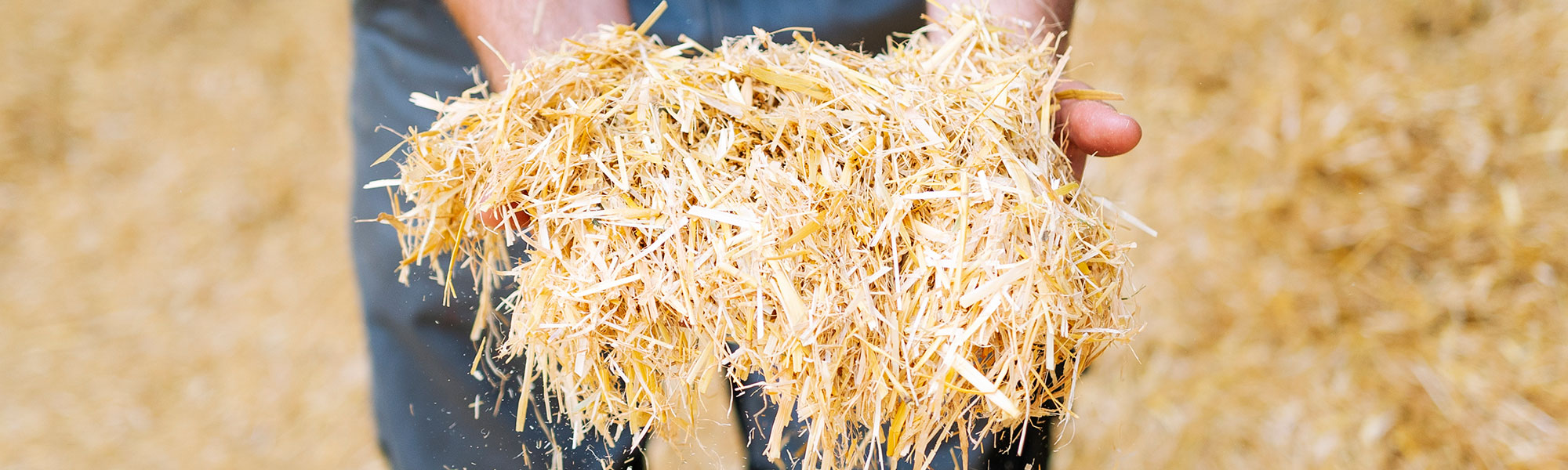 Paille hachée
